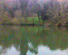 PEG 54 Pictures